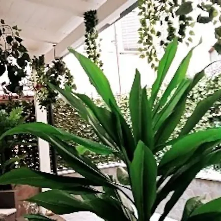 Prázdninový dům Borgo Loreto Neapol