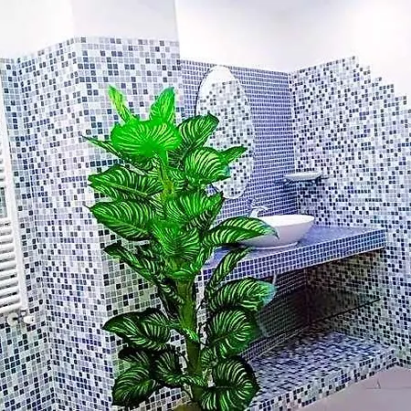 Borgo Loreto Holiday home Naples